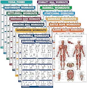 Palace Learning 15 Pack - Exercise Poster Set: Dumbbell, Suspension, Kettlebell, Resistance Bands, Stretching, Bodyweight, Barbell, Yoga, Battle Rope, Exercise Ball, Muscular, Medicine Ball